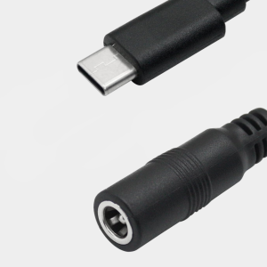 Alternative view of DC Female to USB Type C Male Plug Power Adapter